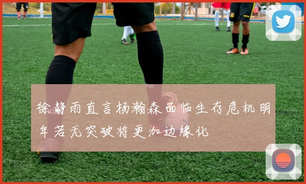 徐静雨直言杨瀚森面临生存危机明年若无突破将更加边缘化